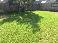 3311 Jib Ct — Photo 5