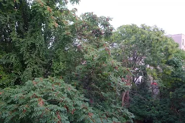 Rented by Citi Habitats