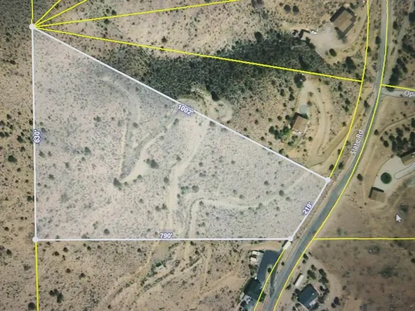 1196 Slate Rd, Wellington, NV 89444