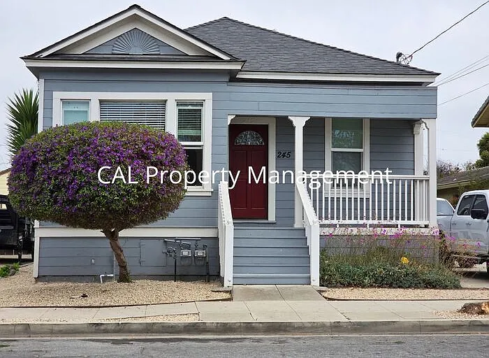 245 Maple St