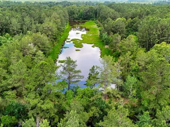 Private Road 5170, Kirbyville, TX 75956