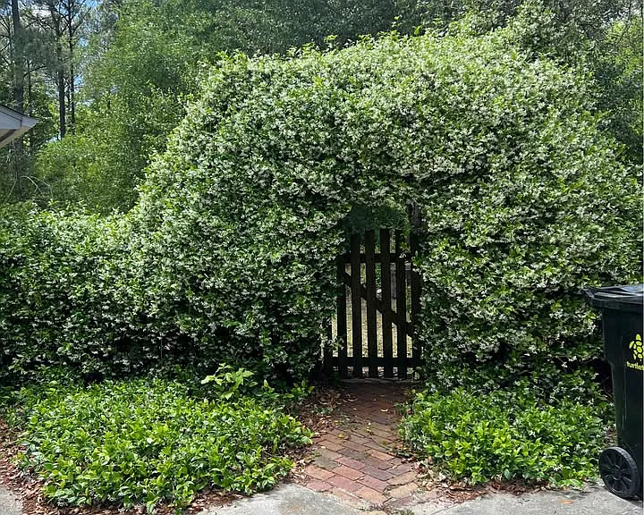 2915 Middle Sound Loop Rd — Photo 18