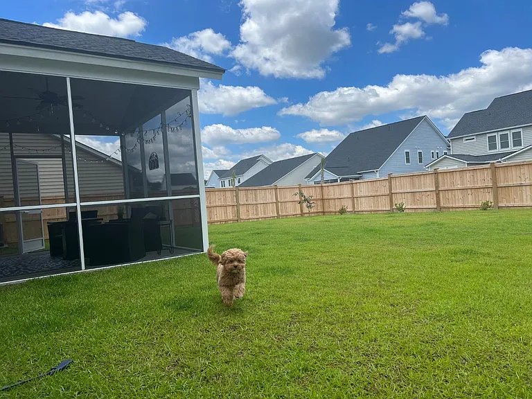 Large fenced in yard