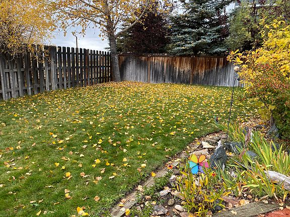 Mature back yard landscaping.