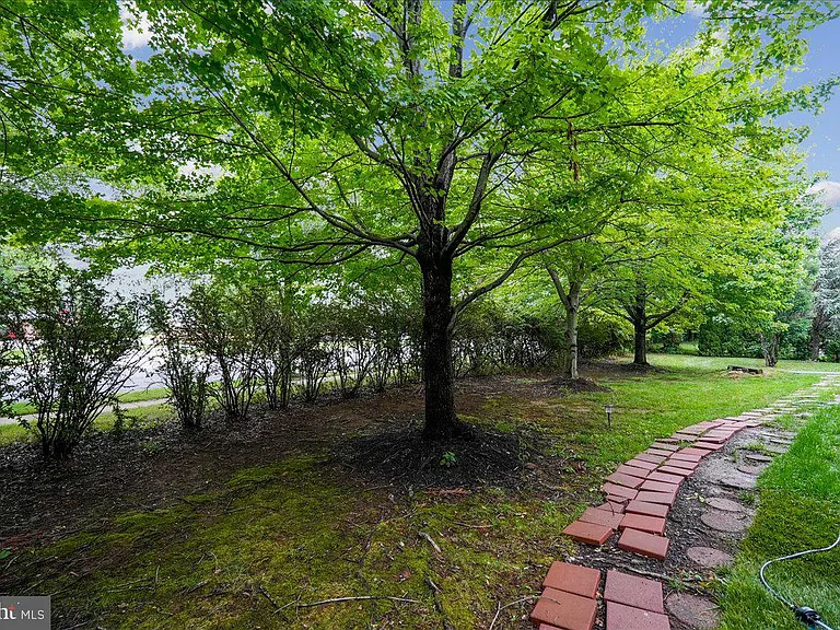 905 Royal Elm Ct — Photo 67