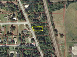 Wooded Homesite On N. Volusia Ave, Pierson, FL 32180