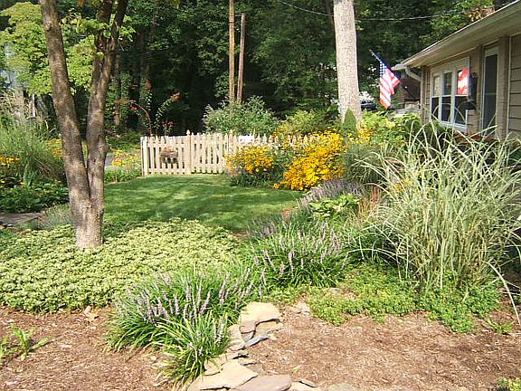 front yard