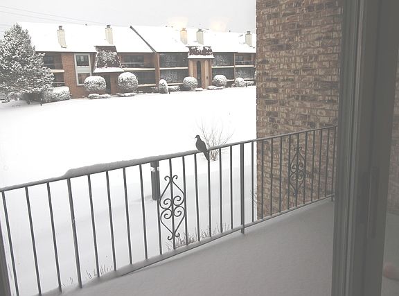 3rd image of 15724 Foxbend Ct