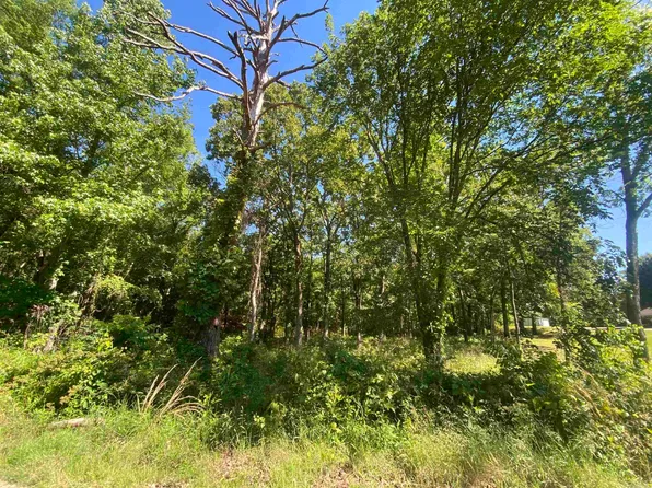 Housing Authority Drive Golden Rd, Mount Ida, AR 71957