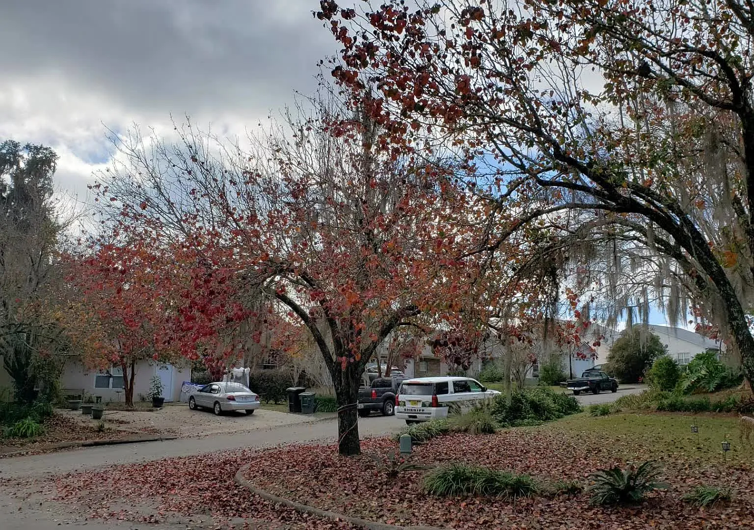 3 bed, 1309 sqft, $1,750 — Photo 1