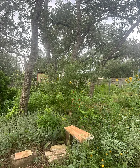 Garden area in the middle back yard.
