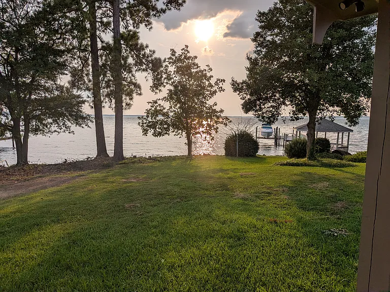Back yard view