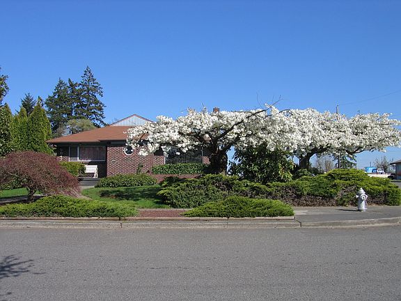 Corner Lot / Mature landscaping