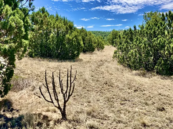 100 Shain Dr, Alto, NM 88312