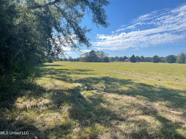 295 Smith Carr Rd, Canton, MS 39046
