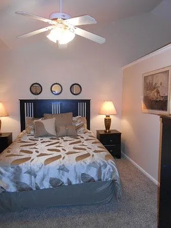 1601 W Swallow Rd #8D — Photo 8