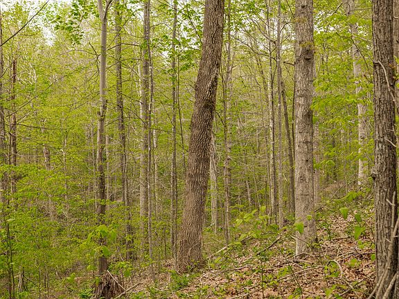 96th image of 1103 Johnny Spears Rd