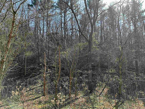 2nd image of Walkers Creek Valley Rd