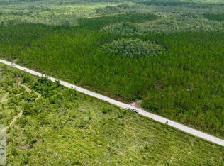 0 Fire Tower Rd, Manor, GA 31550