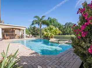12726 Tar Flower Dr, Tampa, FL 33626