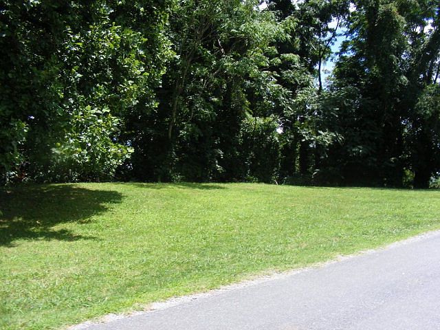 1st image of Buena Vista Ave