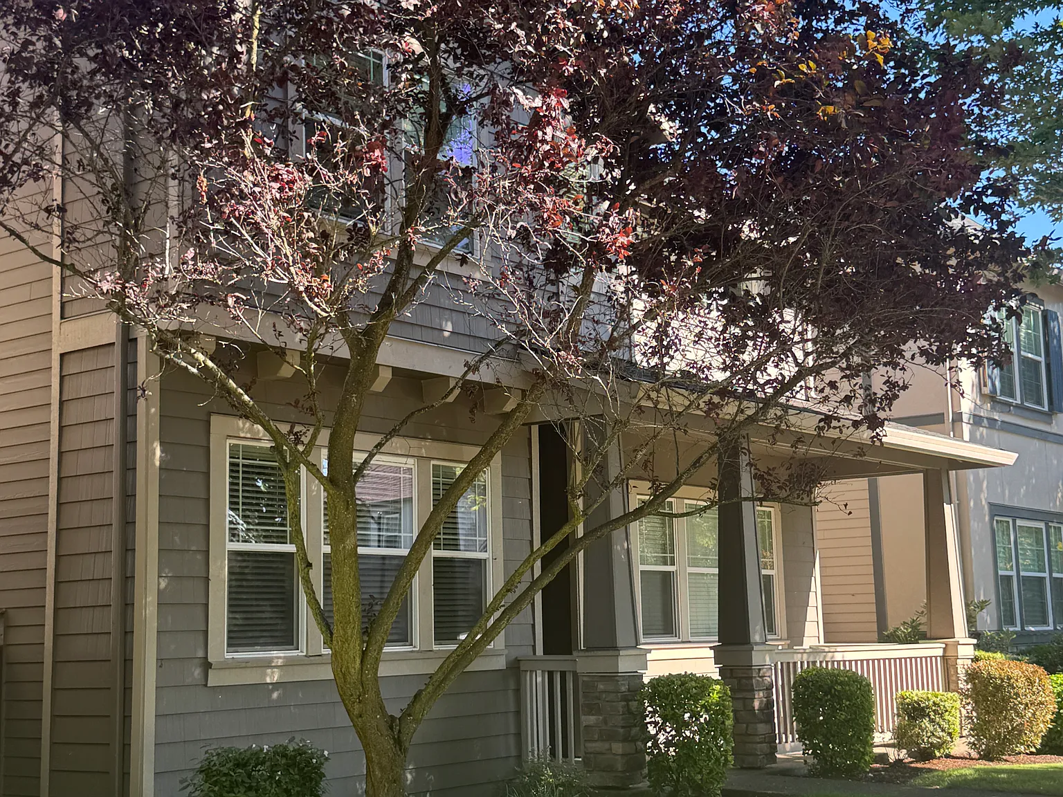 3 bed, 2.5 bath, 2241 sqft, $3,400 — Photo 2