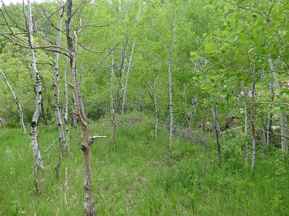 789 Stage Run Rd, Deadwood, SD 57732 Zillow