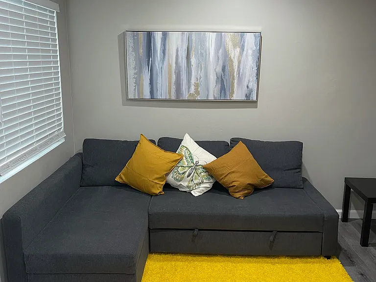 Living room with pull out bed