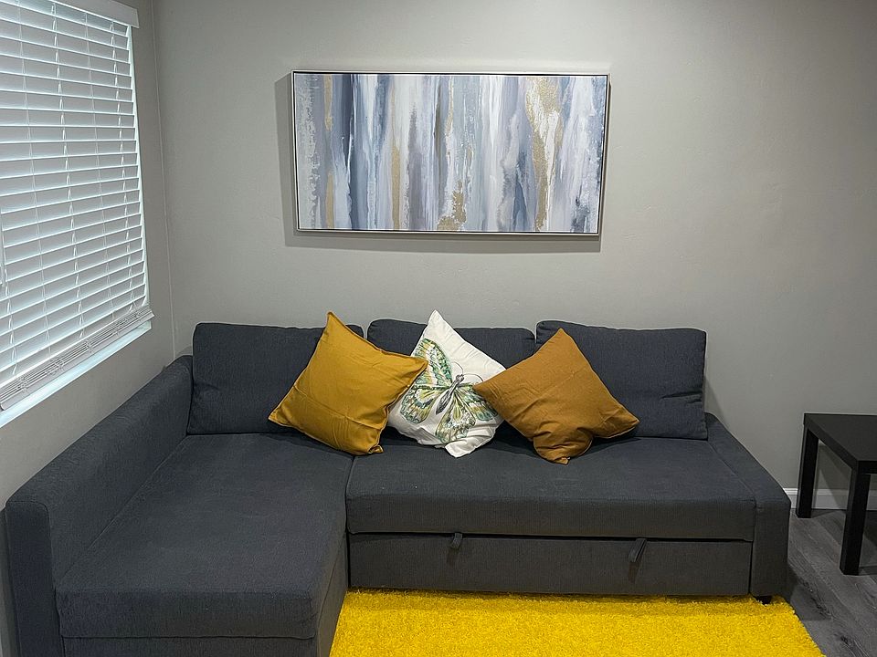 Living room with pull out bed