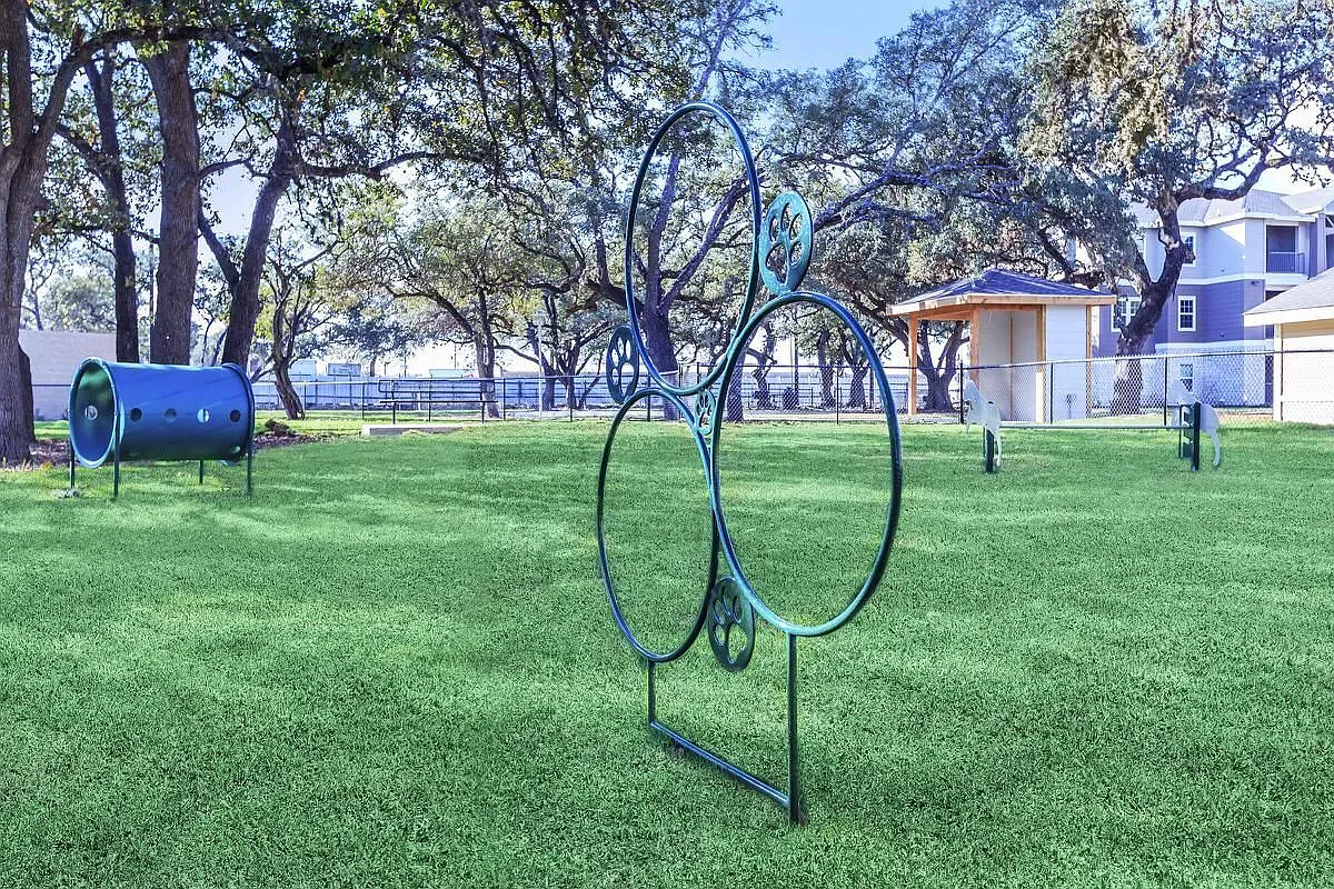 Roots at Boerne — Photo 4