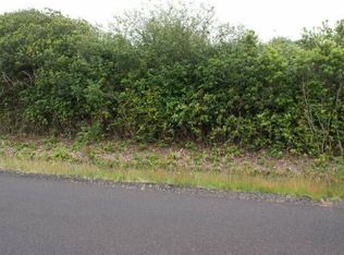 191 N Wynoochee Dr SW, Ocean Shores, WA 98569