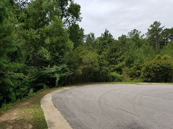 End of cul-de-sac, all woods