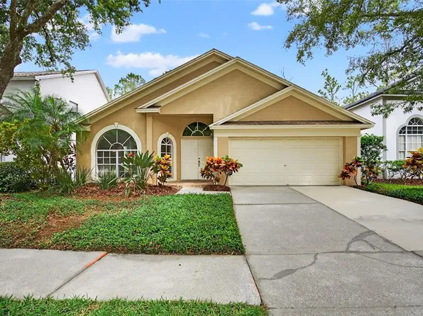 17728 LONG RIDGE ROAD, TAMPA, FL 33647