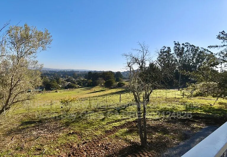 510 Fairview Ct #A — Photo 17