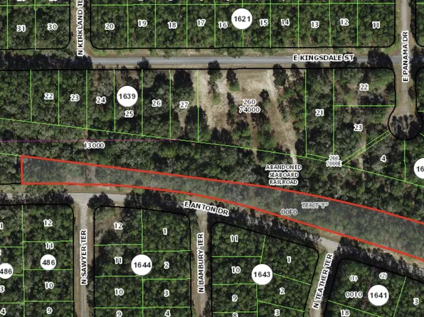 0 E Anton Drive, Citrus Springs, FL 34434