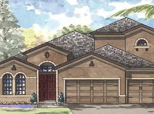 19559 Hayden Lake Ct, Land O Lakes, FL 34638