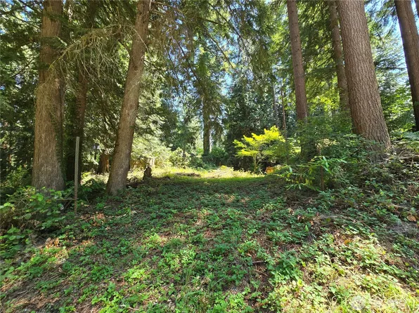 27703 NE 35th Street NE, Redmond, WA 98053
