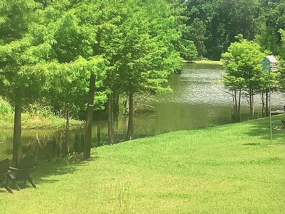 Backyard Lake