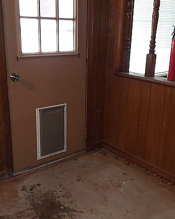 Weather resistant Lg dog door