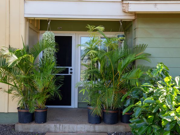 91-3617 Kamolehonua St #206