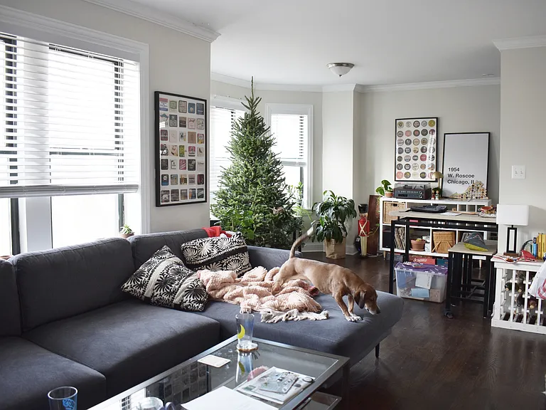 3839 N Greenview Ave #2W — Photo 5