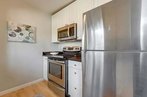 480 E Okeefe St #309 — Photo 4