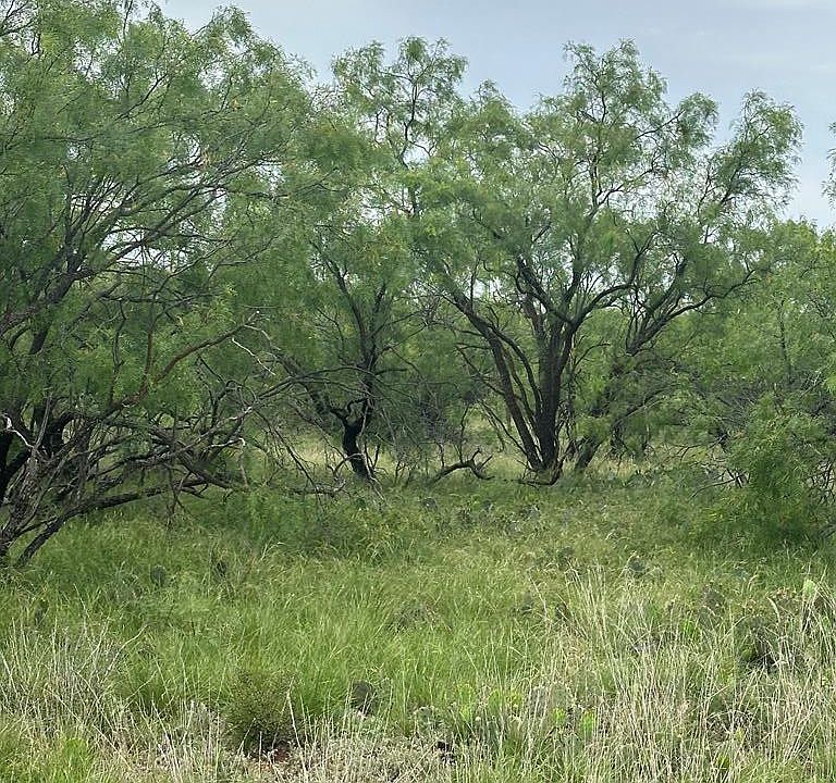 1st image of 9510 Iron Spoke Trl #15