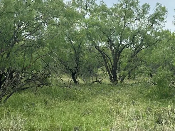 9510 Iron Spoke Trl #15, Carlsbad, TX 76934