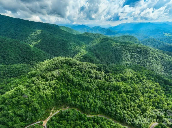 565 Pine Cone Trl, Hot Springs, NC 28743