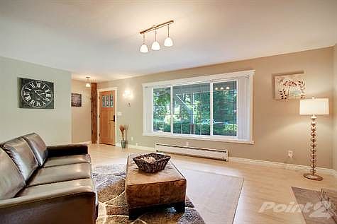 Bright living room with wood wrapped windows