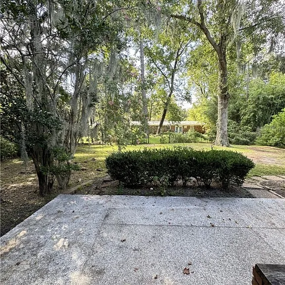 319 Windsor Rd — Photo 14