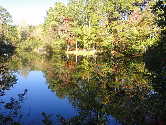 Fishing Pond