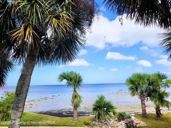 3446 Bayview Ave, Weeki Wachee, FL 34607