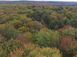 LOT 17 Hammerle Rd, Oxford, NY 13830